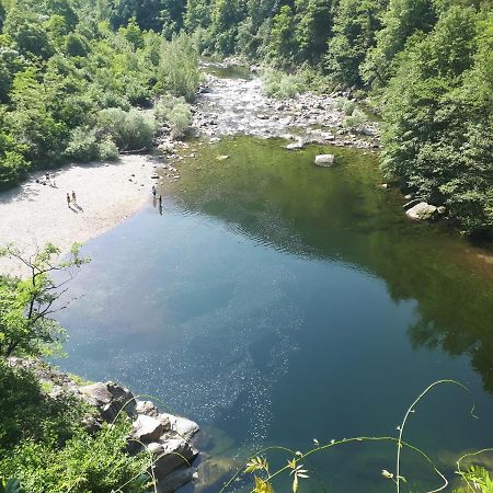 Appartamento La Meridiana A Traffiume カンノビオ エクステリア 写真