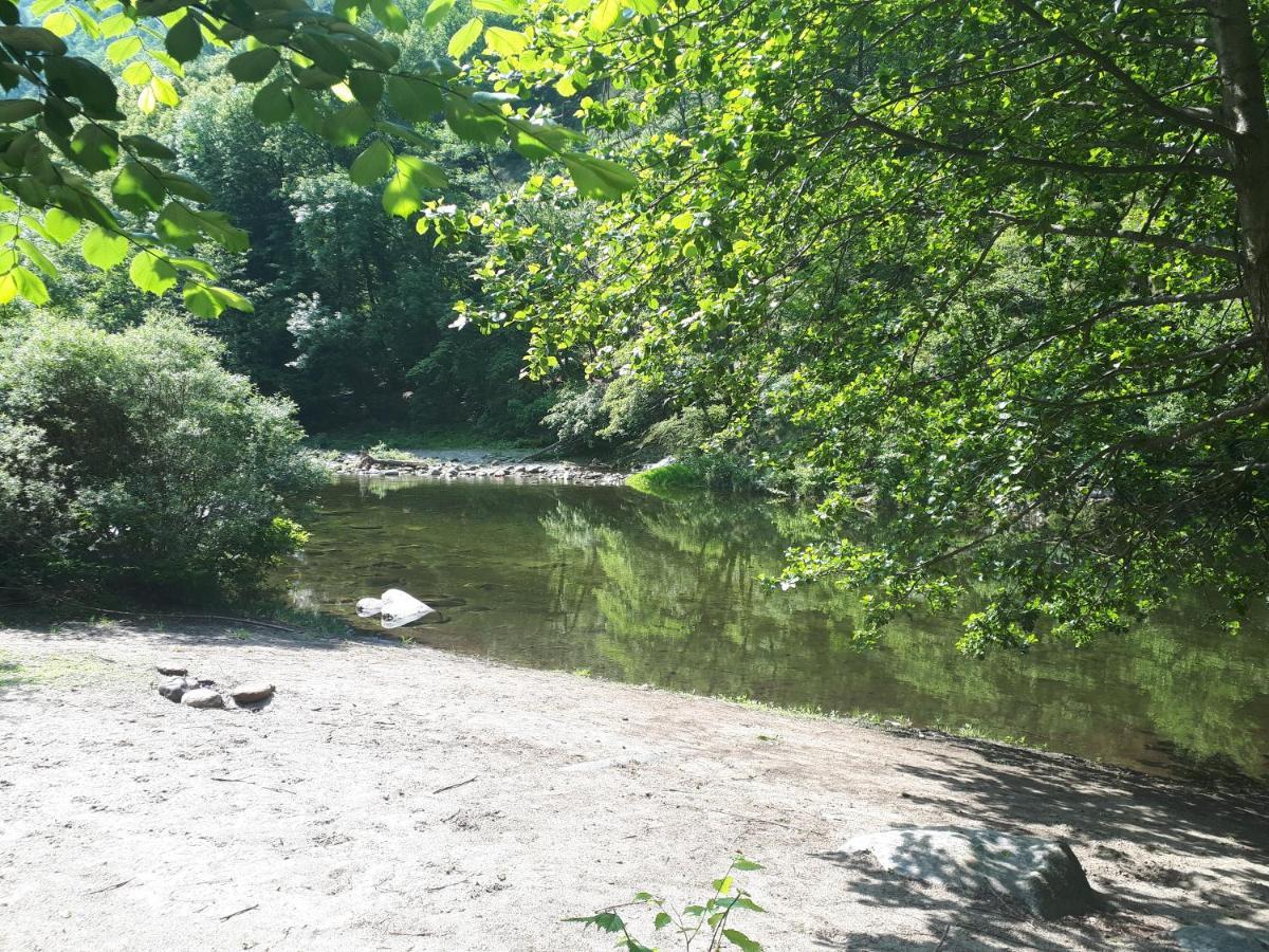 Appartamento La Meridiana A Traffiume カンノビオ エクステリア 写真